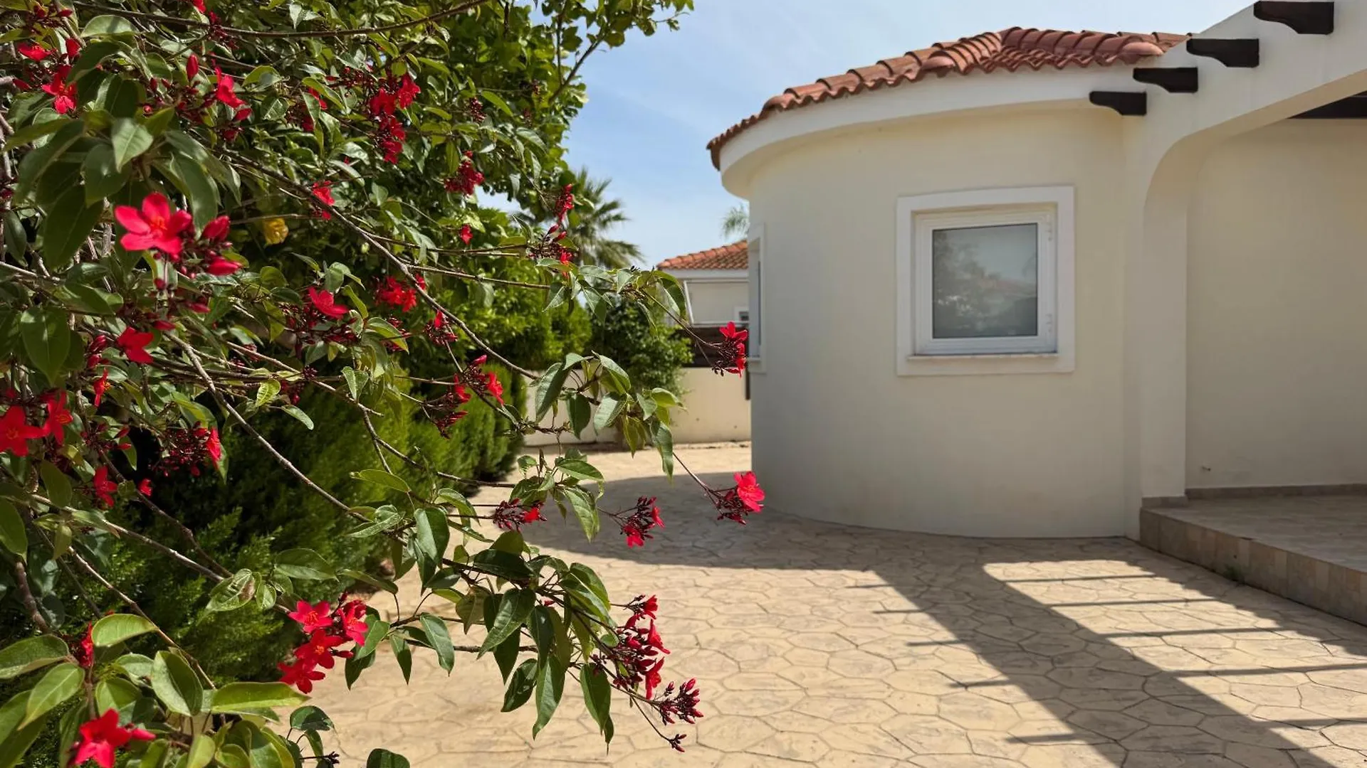 Sunset Villa Agia Thekla Ayia Napa Cyprus